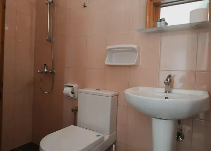 Guest house Nikolas 3*